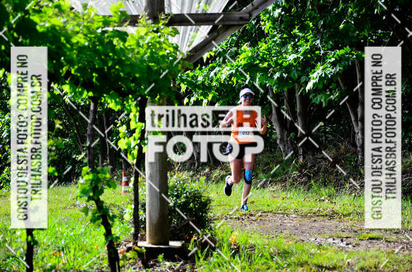 Buy your photos of the eventCIRCUITO DOS VINHEDOS - VINHOS DE ALTITUDE on Fotop