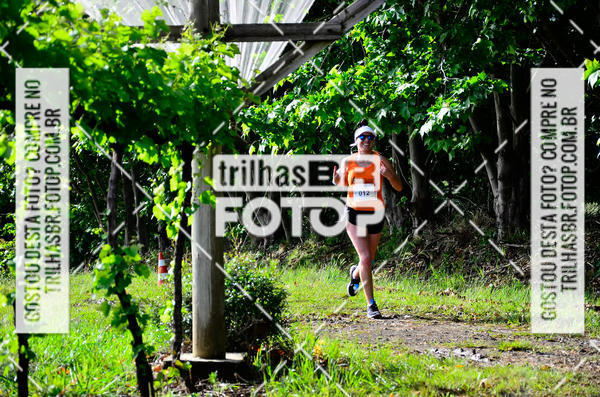 Buy your photos of the eventCIRCUITO DOS VINHEDOS - VINHOS DE ALTITUDE on Fotop