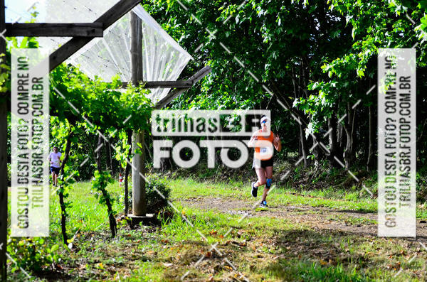 Buy your photos of the eventCIRCUITO DOS VINHEDOS - VINHOS DE ALTITUDE on Fotop