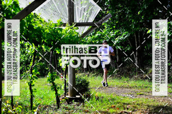 Buy your photos of the eventCIRCUITO DOS VINHEDOS - VINHOS DE ALTITUDE on Fotop