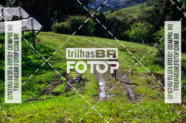 Buy your photos of the eventCIRCUITO DOS VINHEDOS - VINHOS DE ALTITUDE on Fotop