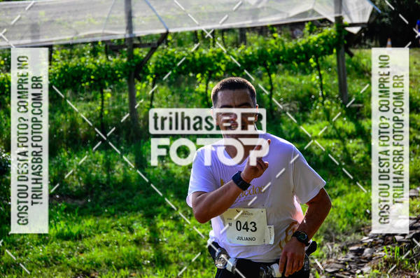 Buy your photos of the eventCIRCUITO DOS VINHEDOS - VINHOS DE ALTITUDE on Fotop