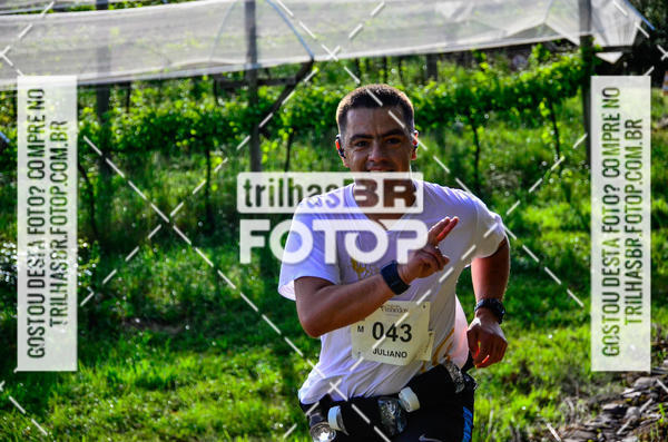 Buy your photos of the eventCIRCUITO DOS VINHEDOS - VINHOS DE ALTITUDE on Fotop