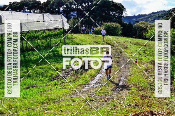 Buy your photos of the eventCIRCUITO DOS VINHEDOS - VINHOS DE ALTITUDE on Fotop