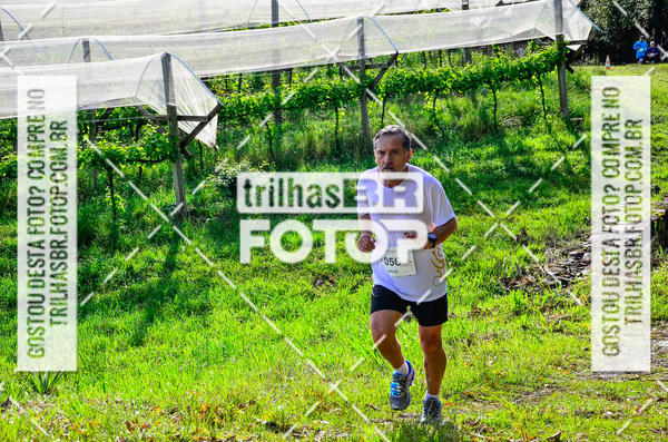 Buy your photos of the eventCIRCUITO DOS VINHEDOS - VINHOS DE ALTITUDE on Fotop