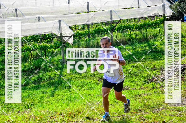 Buy your photos of the eventCIRCUITO DOS VINHEDOS - VINHOS DE ALTITUDE on Fotop