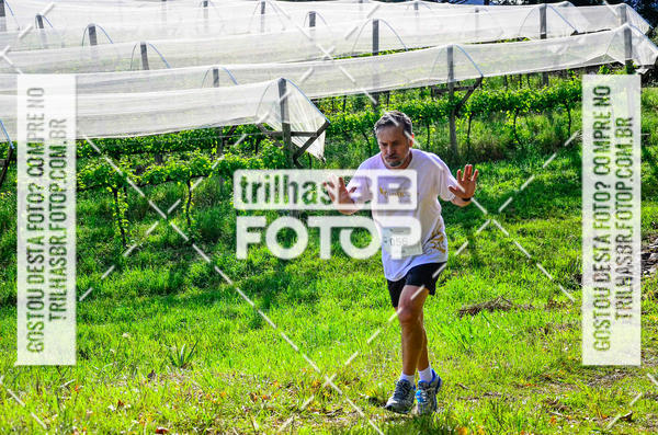 Buy your photos of the eventCIRCUITO DOS VINHEDOS - VINHOS DE ALTITUDE on Fotop