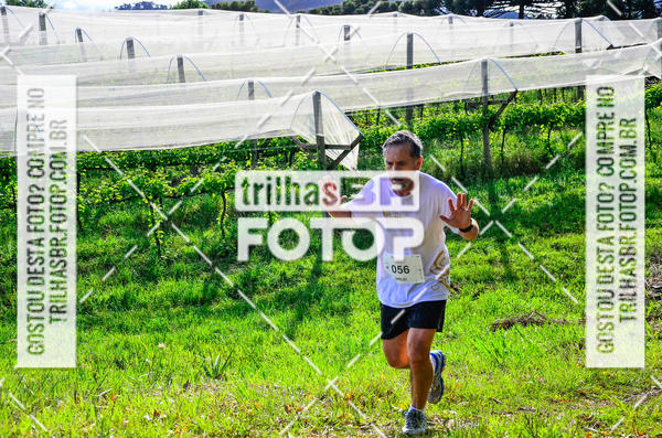 Buy your photos of the eventCIRCUITO DOS VINHEDOS - VINHOS DE ALTITUDE on Fotop