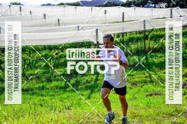 Buy your photos of the eventCIRCUITO DOS VINHEDOS - VINHOS DE ALTITUDE on Fotop