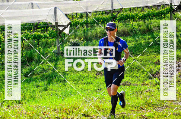 Buy your photos of the eventCIRCUITO DOS VINHEDOS - VINHOS DE ALTITUDE on Fotop