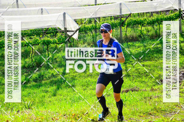 Buy your photos of the eventCIRCUITO DOS VINHEDOS - VINHOS DE ALTITUDE on Fotop