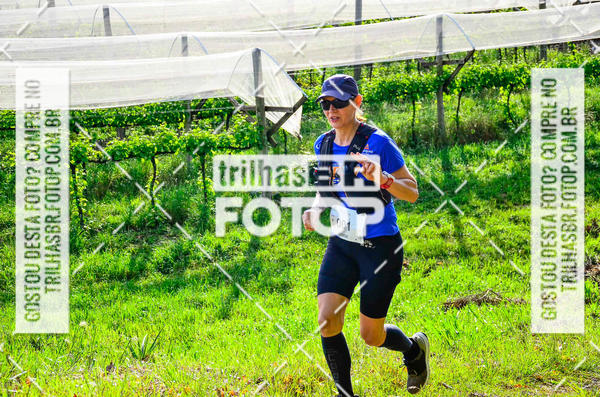 Buy your photos of the eventCIRCUITO DOS VINHEDOS - VINHOS DE ALTITUDE on Fotop