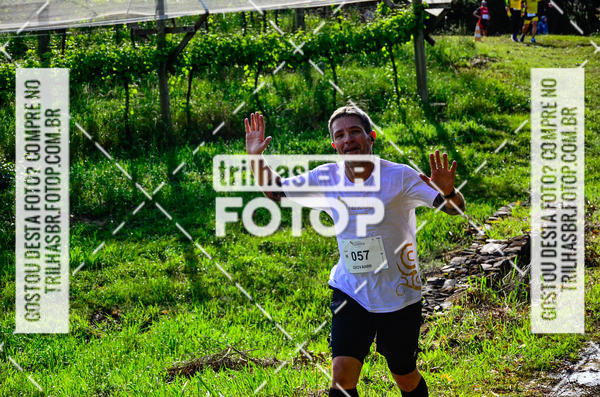 Buy your photos of the eventCIRCUITO DOS VINHEDOS - VINHOS DE ALTITUDE on Fotop