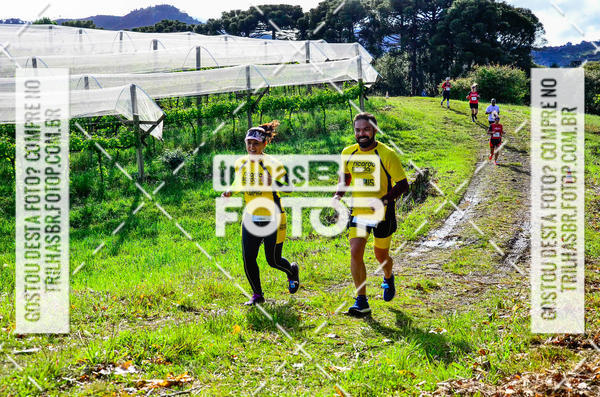 Buy your photos of the eventCIRCUITO DOS VINHEDOS - VINHOS DE ALTITUDE on Fotop