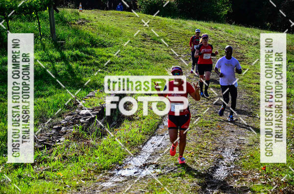 Buy your photos of the eventCIRCUITO DOS VINHEDOS - VINHOS DE ALTITUDE on Fotop