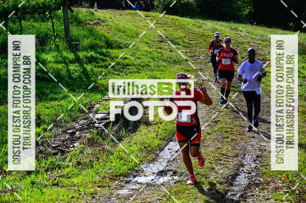 Buy your photos of the eventCIRCUITO DOS VINHEDOS - VINHOS DE ALTITUDE on Fotop