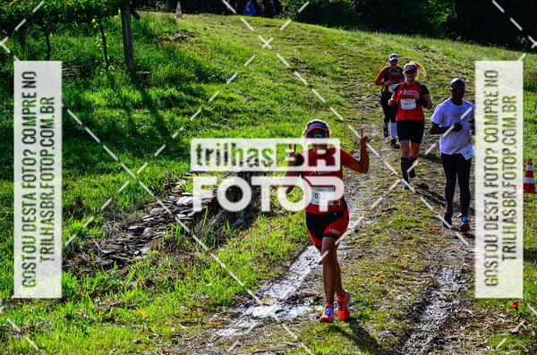 Buy your photos of the eventCIRCUITO DOS VINHEDOS - VINHOS DE ALTITUDE on Fotop