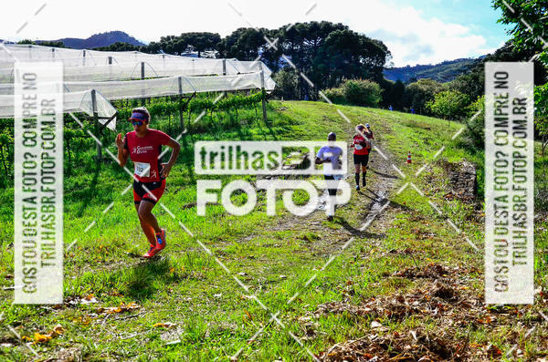 Buy your photos of the eventCIRCUITO DOS VINHEDOS - VINHOS DE ALTITUDE on Fotop