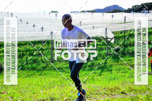 Buy your photos of the eventCIRCUITO DOS VINHEDOS - VINHOS DE ALTITUDE on Fotop