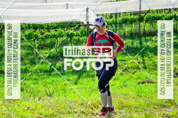 Buy your photos of the eventCIRCUITO DOS VINHEDOS - VINHOS DE ALTITUDE on Fotop