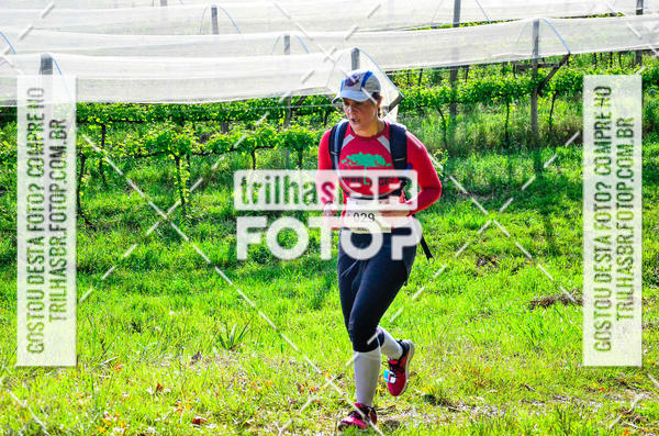 Buy your photos of the eventCIRCUITO DOS VINHEDOS - VINHOS DE ALTITUDE on Fotop