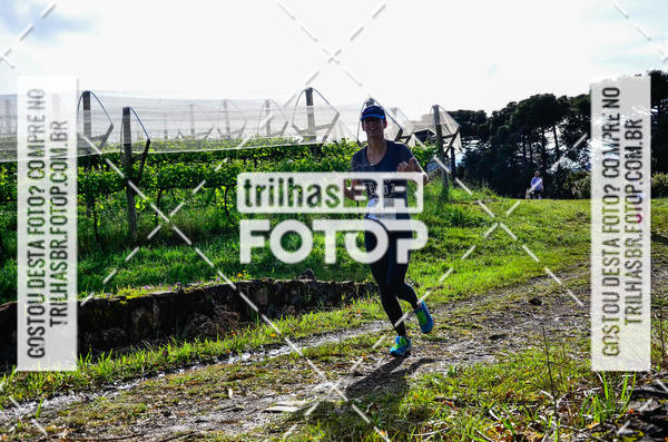 Buy your photos of the eventCIRCUITO DOS VINHEDOS - VINHOS DE ALTITUDE on Fotop