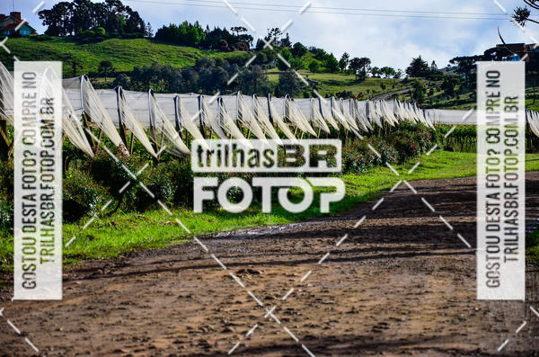 Buy your photos of the eventCIRCUITO DOS VINHEDOS - VINHOS DE ALTITUDE on Fotop