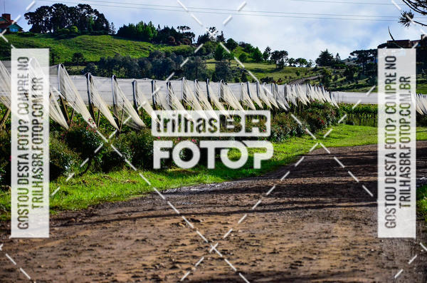 Buy your photos of the eventCIRCUITO DOS VINHEDOS - VINHOS DE ALTITUDE on Fotop