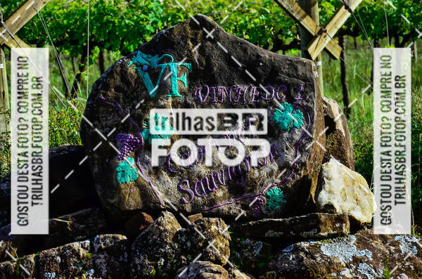 Buy your photos of the eventCIRCUITO DOS VINHEDOS - VINHOS DE ALTITUDE on Fotop