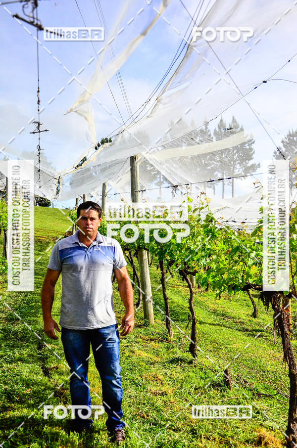 Buy your photos of the eventCIRCUITO DOS VINHEDOS - VINHOS DE ALTITUDE on Fotop
