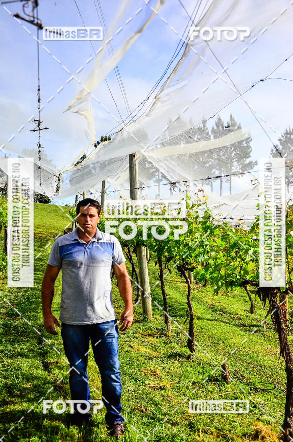 Buy your photos of the eventCIRCUITO DOS VINHEDOS - VINHOS DE ALTITUDE on Fotop