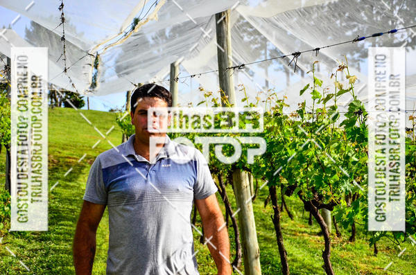 Buy your photos of the eventCIRCUITO DOS VINHEDOS - VINHOS DE ALTITUDE on Fotop