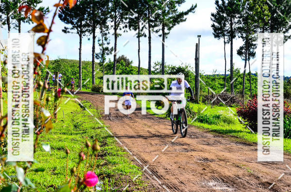 Buy your photos of the eventCIRCUITO DOS VINHEDOS - VINHOS DE ALTITUDE on Fotop