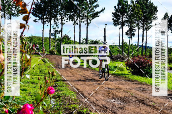 Buy your photos of the eventCIRCUITO DOS VINHEDOS - VINHOS DE ALTITUDE on Fotop