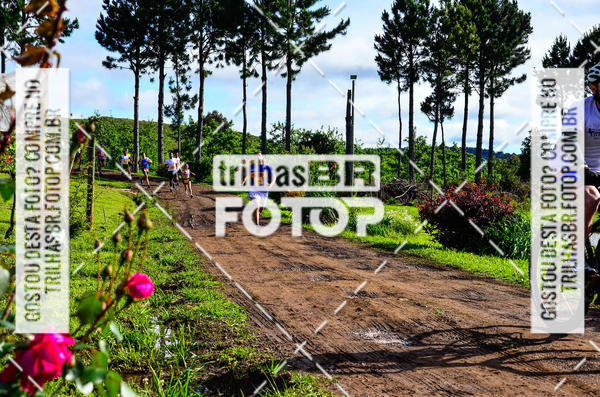 Buy your photos of the eventCIRCUITO DOS VINHEDOS - VINHOS DE ALTITUDE on Fotop