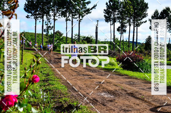 Buy your photos of the eventCIRCUITO DOS VINHEDOS - VINHOS DE ALTITUDE on Fotop