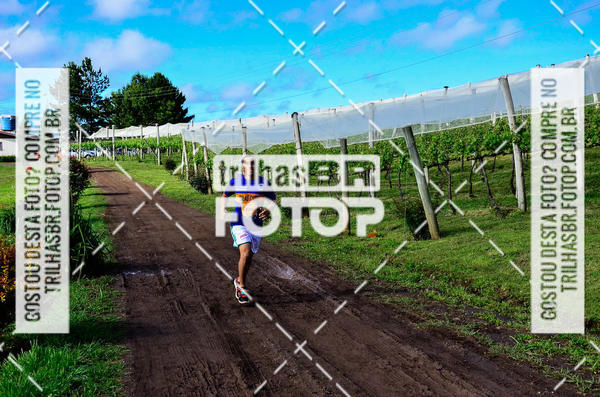 Buy your photos of the eventCIRCUITO DOS VINHEDOS - VINHOS DE ALTITUDE on Fotop
