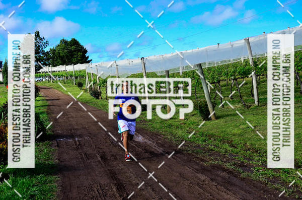 Buy your photos of the eventCIRCUITO DOS VINHEDOS - VINHOS DE ALTITUDE on Fotop