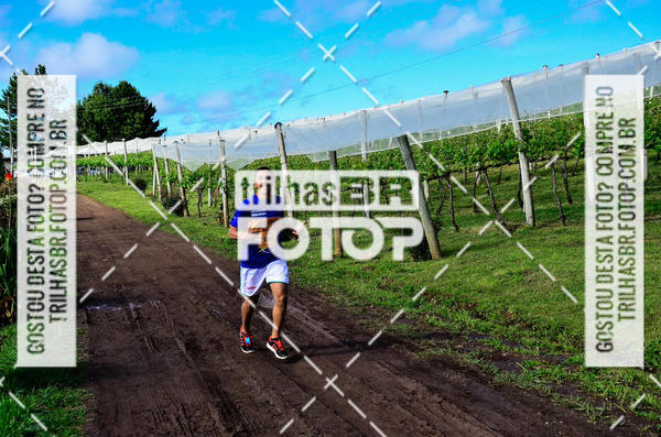 Buy your photos of the eventCIRCUITO DOS VINHEDOS - VINHOS DE ALTITUDE on Fotop