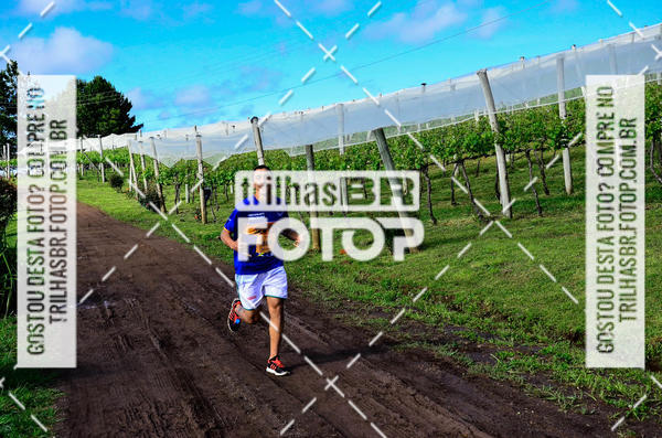 Buy your photos of the eventCIRCUITO DOS VINHEDOS - VINHOS DE ALTITUDE on Fotop