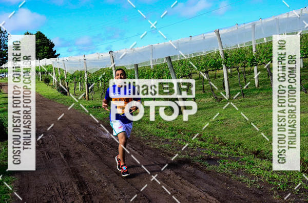 Buy your photos of the eventCIRCUITO DOS VINHEDOS - VINHOS DE ALTITUDE on Fotop