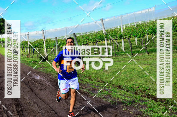 Buy your photos of the eventCIRCUITO DOS VINHEDOS - VINHOS DE ALTITUDE on Fotop