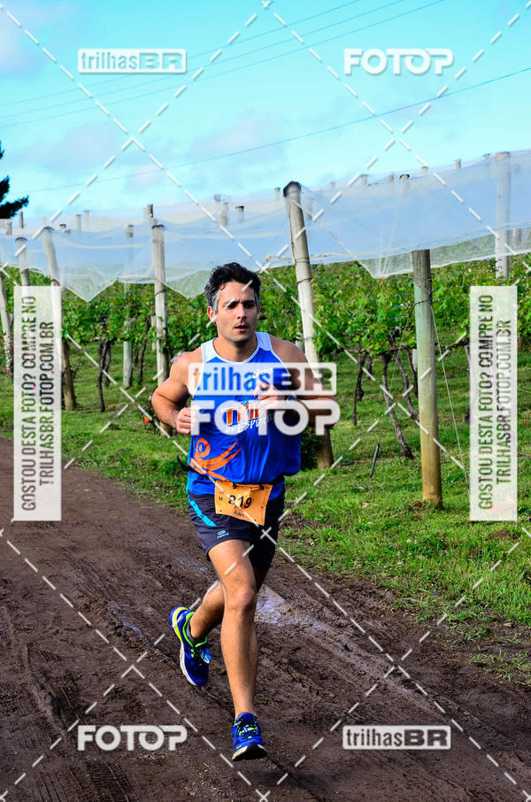 Buy your photos of the eventCIRCUITO DOS VINHEDOS - VINHOS DE ALTITUDE on Fotop