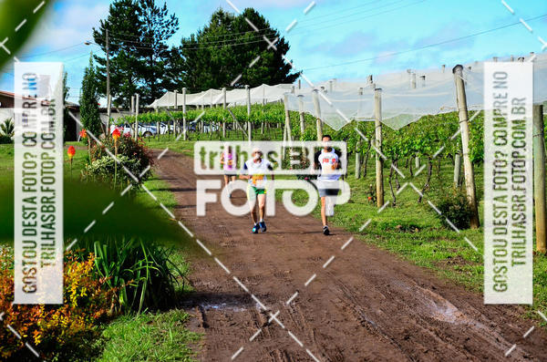 Buy your photos of the eventCIRCUITO DOS VINHEDOS - VINHOS DE ALTITUDE on Fotop