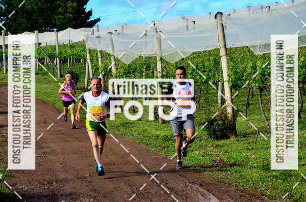 Buy your photos of the eventCIRCUITO DOS VINHEDOS - VINHOS DE ALTITUDE on Fotop