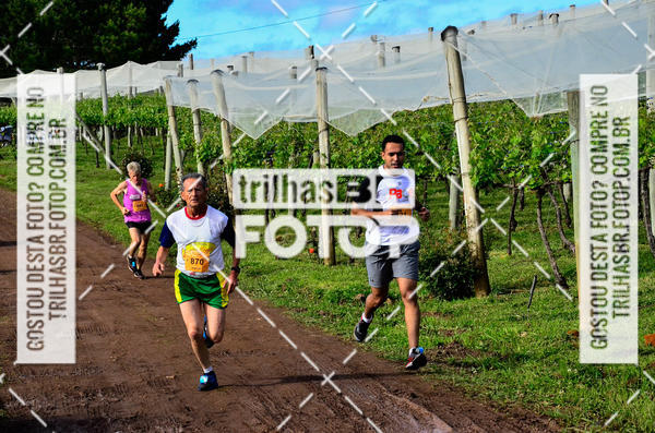 Buy your photos of the eventCIRCUITO DOS VINHEDOS - VINHOS DE ALTITUDE on Fotop
