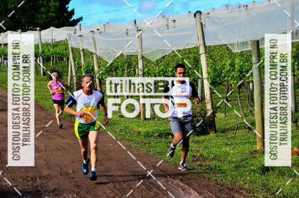 Buy your photos of the eventCIRCUITO DOS VINHEDOS - VINHOS DE ALTITUDE on Fotop