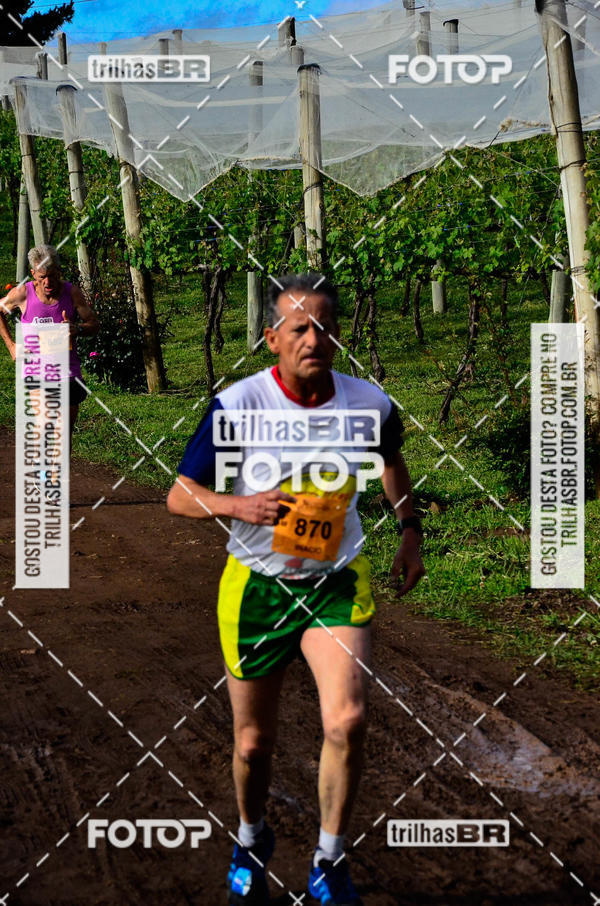 Buy your photos of the eventCIRCUITO DOS VINHEDOS - VINHOS DE ALTITUDE on Fotop