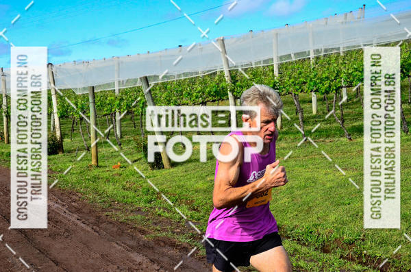 Buy your photos of the eventCIRCUITO DOS VINHEDOS - VINHOS DE ALTITUDE on Fotop