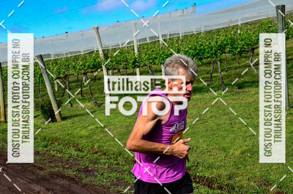 Buy your photos of the eventCIRCUITO DOS VINHEDOS - VINHOS DE ALTITUDE on Fotop